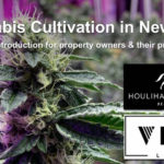 NY Cannabis Cultivation - Video Forum 02