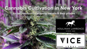 NY Cannabis Cultivation - Video Forum 02